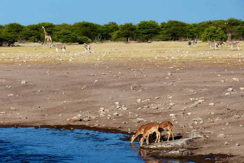 Namibia